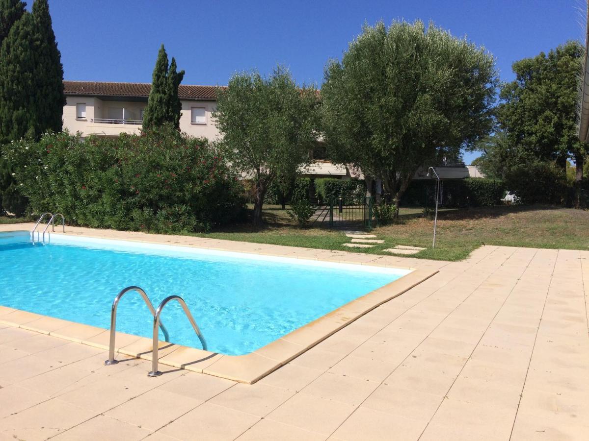 Studio Santa Monica - Climatise - Piscine - Parking Toulouse Exteriör bild